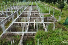 Luật mới sẽ chặn đứng nạn đầu cơ, bỏ đất hoang chờ tăng giá 