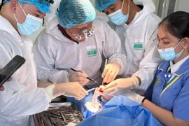 Chất tiết tế bào gốc điều trị thoái hóa khớp gối