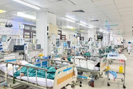 Vô tình làm vỡ tổ ong vò vẽ, người đàn ông bị ong đốt hơn 100 vết