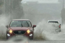 Không khí lạnh kèm nhiễu động gió Đông gây nhiều hình thái thiên tai nguy hiểm
