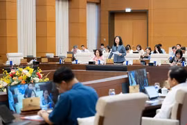 Bộ trưởng Đào Hồng Lan trình Quốc hội 4 chính sách mới của dự án Luật Dân số