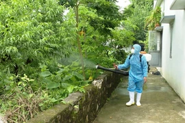 Nguy cơ Chikunguny xâm nhập vào Việt Nam, bác sĩ mách cách phát hiện sớm