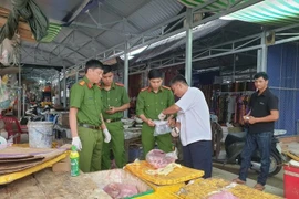 Lợn nhiễm bệnh vẫn được đóng dấu kiểm dịch, cơ quan chức năng nói gì?