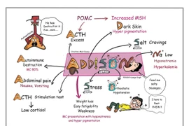 Nôn kéo dài, thủ phạm không nằm ở đường tiêu hóa