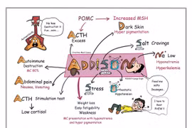 Nôn kéo dài, thủ phạm không nằm ở đường tiêu hóa