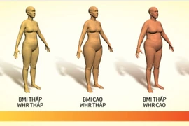 Biết chỉ số eo hông cho cơ thể khỏe mạnh, phòng ngừa tim mạch, đột quỵ