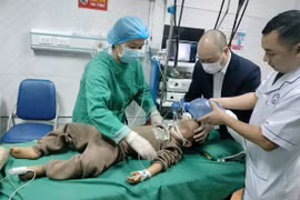 Lần đầu nội soi khí quản gắp dị vật, cứu sống trẻ 5 tuổi trong gang tấc