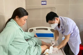 Gia tăng bệnh nhân nhập viện do chó cắn