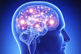 Trà thuốc chữa thiểu năng tuần hoàn não, phòng đột quỵ