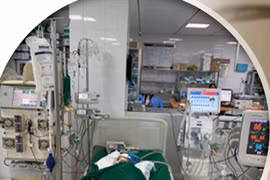 Cứu sống bé gái bị ong vò vẽ đốt hơn 50 nốt gây suy đa tạng, nguy kịch