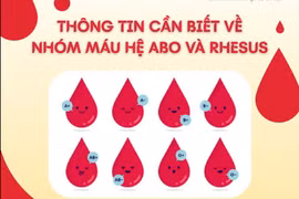 Vai trò của nhóm máu ABO và Rhesus trong cấp cứu, truyền máu