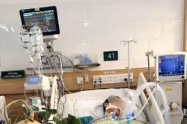 Sức khỏe 6 người ngộ độc do hạt củ đậu ở Ninh Bình