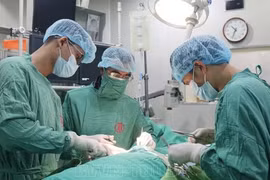 Loại bỏ túi phình động mạch chủ chậu dọa vỡ đe dọa tính mạng