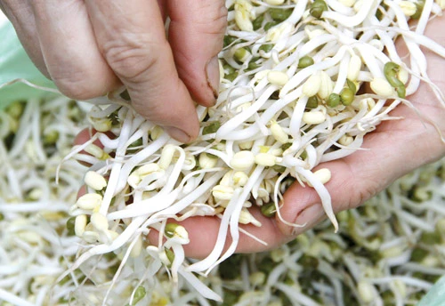 Mẹo dễ nhận biết giá đỗ tắm hóa chất cắt rễ