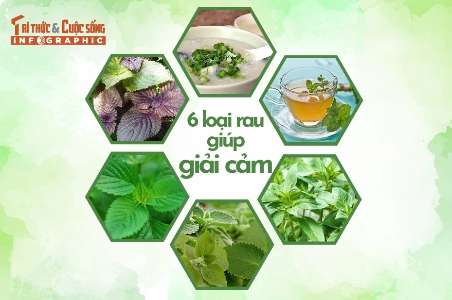 [INFOGRAPHIC] 6 loại rau giúp giải cảm
