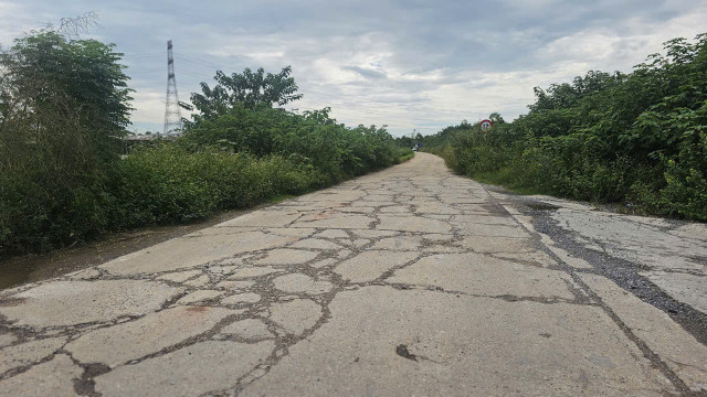 Mặt đê xuống cấp nghiêm trọng. 4.jpg