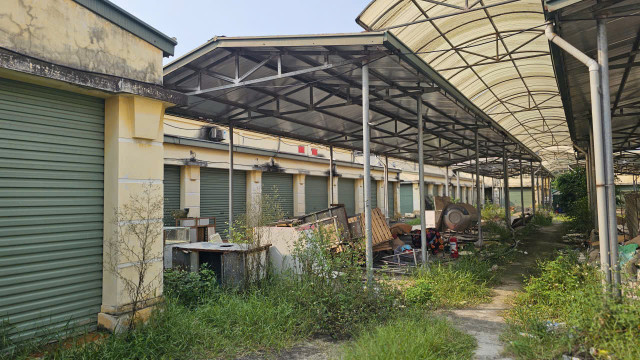 Cỏ dại mọc um tùm. 35555.jpg