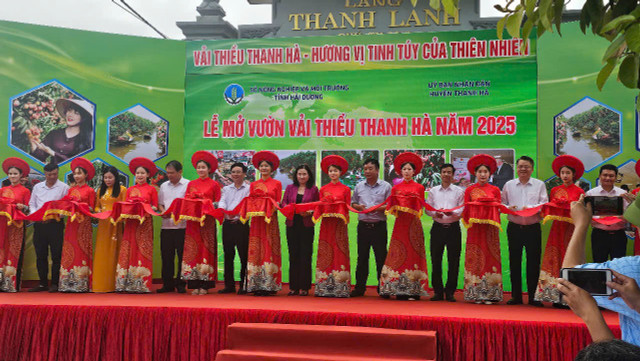 Các đại biểu cắt băng mở vườn vải Thanh Hà năm 2025. 2.jpg