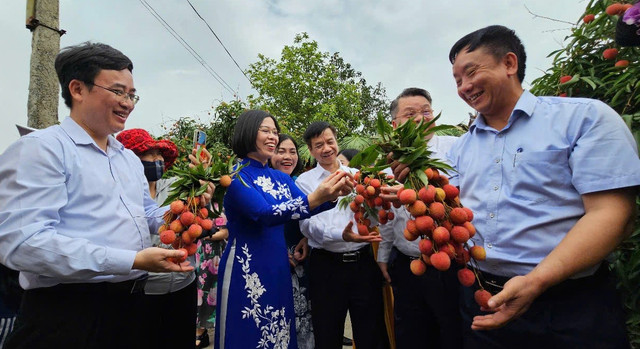 Lãnh đạo tỉnh Hải Dương cùng các đại biểu phấn khởi khi vải thiều Thanh Hà được mùa, được giá 33.jpg
