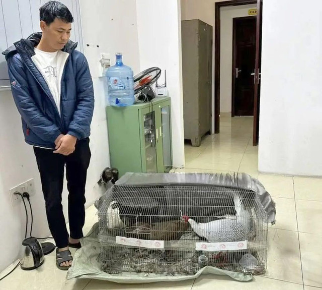Thái Khắc Thành cùng số gà lôi tang vật vụ án. 766655.jpg