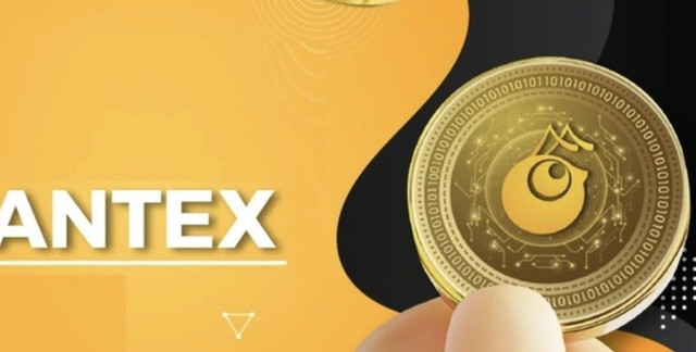 Dự án tiền số AntEx (token AntEx) ra mắt khoảng tháng 9/2021. Ảnh: M.X.H 4-9861.jpg