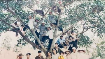 'Không leo cây đời không nể', mốt chụp ảnh độc lạ của thế hệ 8x, 9x đời đầu