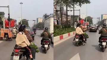 Người phụ nữ thản nhiên bứng hoa giữa phố Hà Nội, netizen đồng loạt dậy sóng