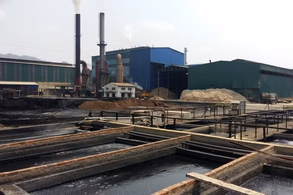 Bị tố gây ô nhiễm môi trường Công ty mía đường Sơn La nói gì?