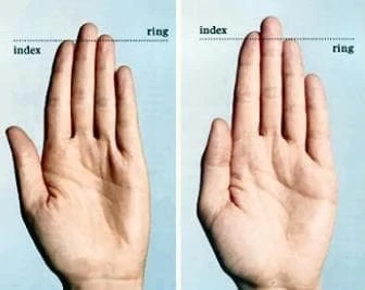 Ngón đeo nhẫn dài hay ngắn hơn ngón trỏ có ý nghĩa gì?