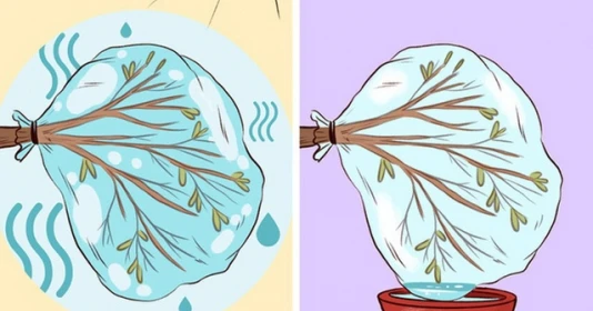 Kỹ năng sinh tồn cần thuộc lòng phòng khi bị mắc kẹt nơi hẻo lánh