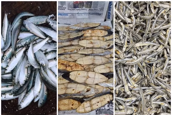 3 loại cá “tốt hơn cá hồi” bán đầy chợ Việt 