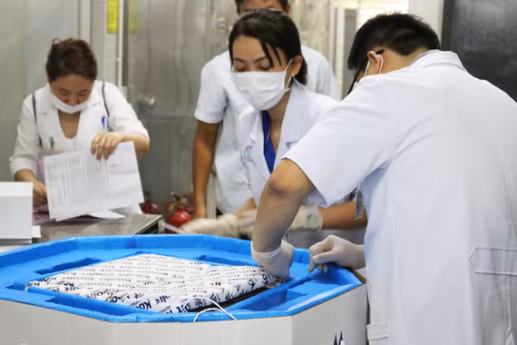 6 lọ thuốc giải độc botulinum đầu tiên đã về đến TP HCM