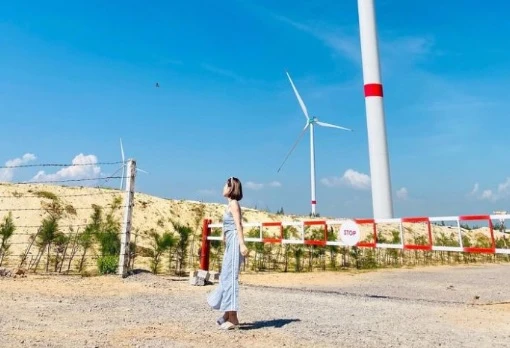 Lạc lối giữa vẻ đẹp của cánh đồng điện gió Phương Mai