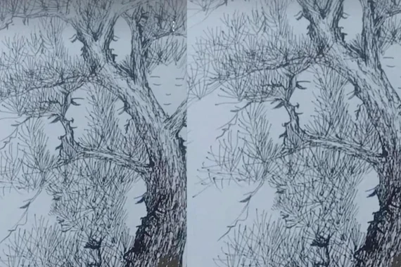 Trắc nghiệm tâm lý: Có 18 khuôn mặt ẩn giấu trong cây thông