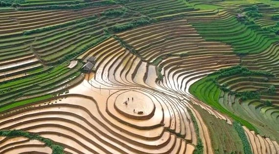 Vẻ đẹp ruộng bậc thang Mù Cang Chải mùa nước đổ