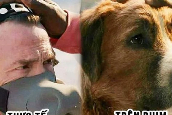 Sự thật ngỡ ngàng ở hậu trường các cảnh quay hoành tráng