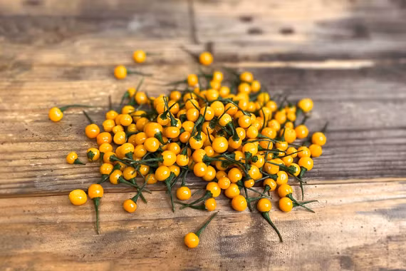 Loại quả đắt đỏ nhất thế giới, Việt Nam nhiều người tặng miễn phí