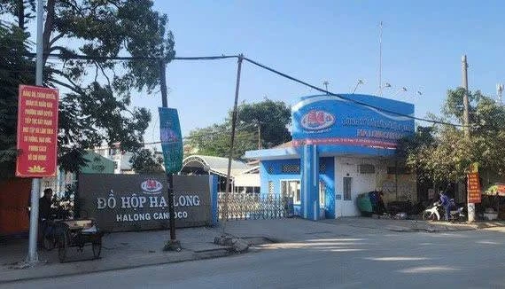 Một nhân viên kiểm dịch bị tạm giữ do nhận hối lộ Công ty đồ hộp Hạ Long