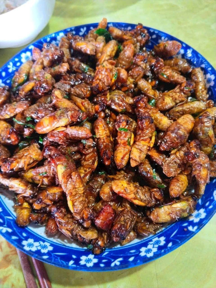 Theo các chuyên gia y tế, khi ăn các món ăn từ ve sầu, nếu có các biểu hiện chóng mặt, nôn mửa, co giật tay chân… cần đến cơ sở y tế gần nhất để thăm khám và điều trị kịp thời. Ảnh: Facebook