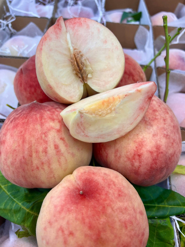 Bởi, loại đào này không chỉ to, mẫu mã bắt mắt mà phần thịt còn giòn, vị ngọt thuần, thích hợp làm quà biếu. Ảnh: Facebook