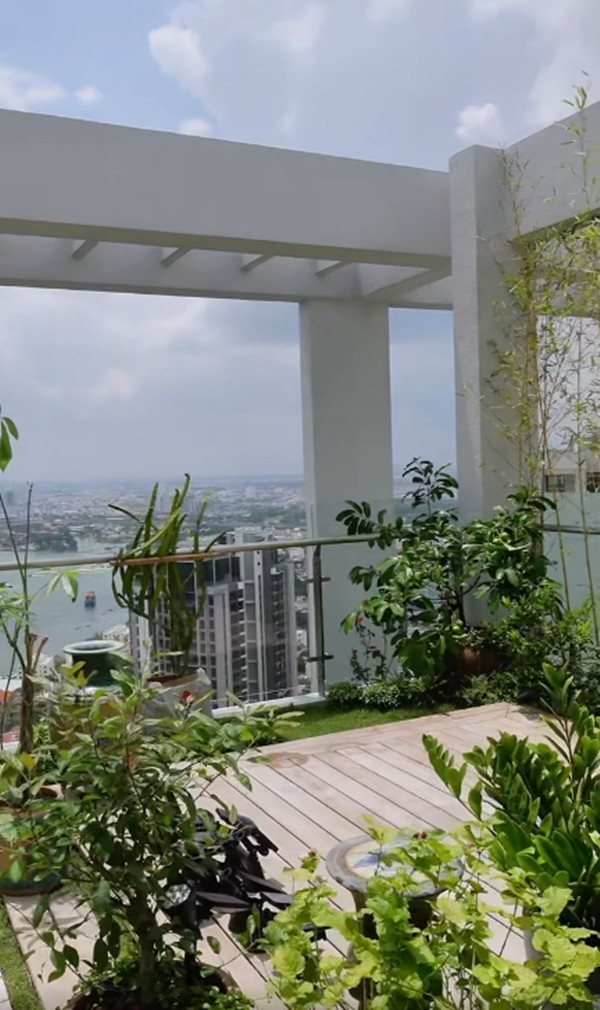 Khu vườn trên cao thoáng đãng. Ảnh chụp màn hình