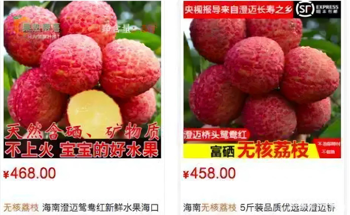 Tuy nhiên, để vải không hạt phổ biến vẫn là một chặng đường dài bởi điều kiện canh tác đặc thù và quy trình kỹ thuật tinh vi chưa thể dễ dàng nhân rộng ở những vùng trồng khác. Ảnh: Baidu