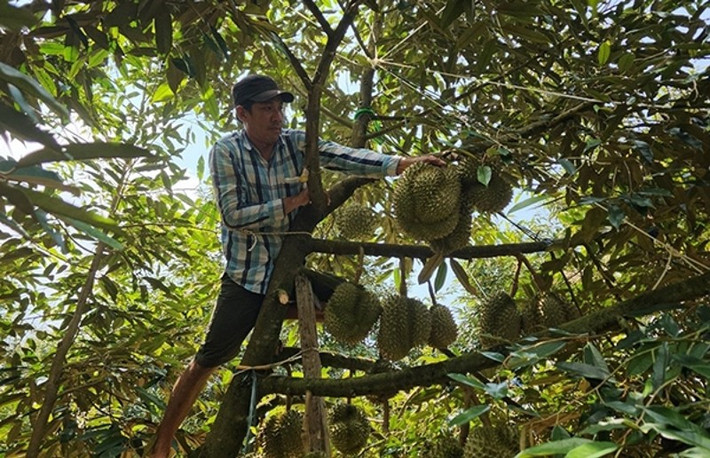 Ngoài sức khỏe, để bám trụ với nghề, người thợ phải chịu khó và tinh ý thì mới có thể thành thạo và gắn bó lâu dài. Ảnh: VOV4