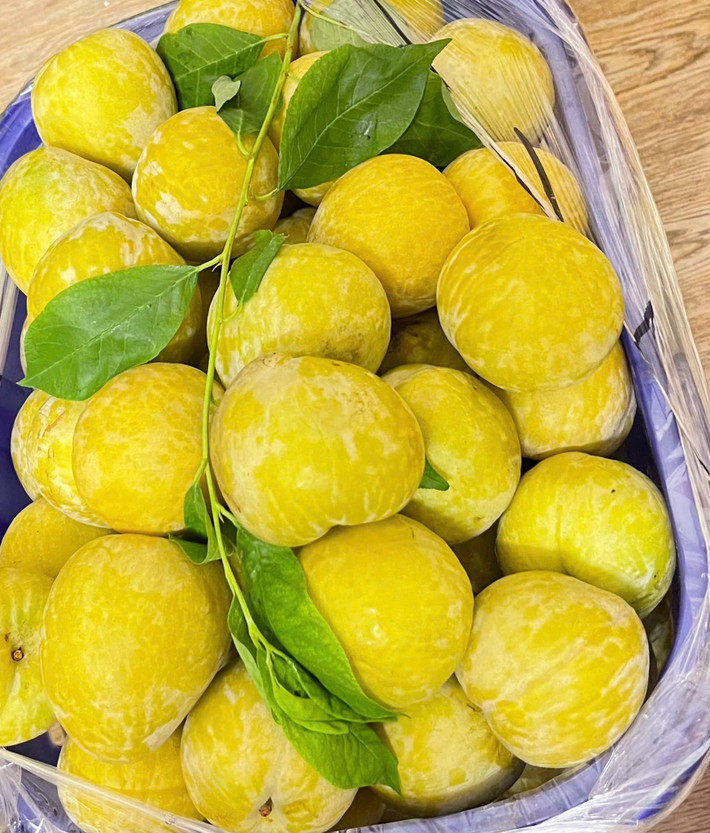 Trên thị trường, phần lớn các cửa hàng không có sẵn mận cau để bán lẻ, chủ yếu nhận đơn đặt trước. Ảnh; Facebook