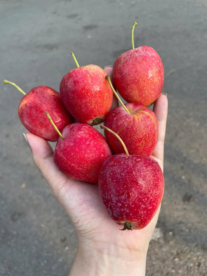 Dù giá cao nhưng táo cherry vẫn được khách hàng ưa chuộng. Mỗi lần hàng về chỉ bán vài ngày là hết. Ảnh: Facebook
