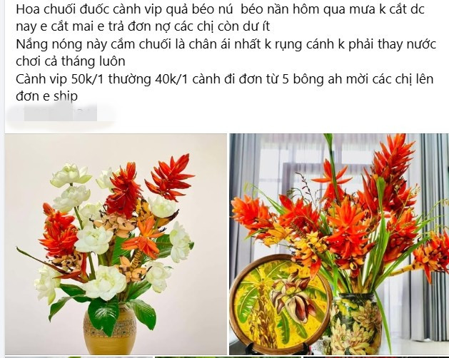 Những ngày gần đây, hoa chuối đuốc (một loại chuối rừng) bỗng trở thành mặt hàng được ưa chuộng trên chợ mạng. Ảnh chụp màn hình