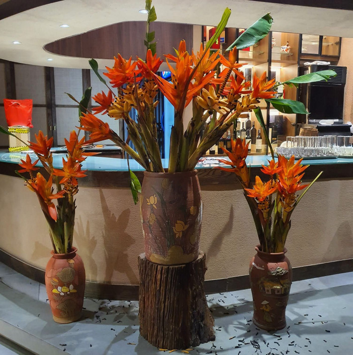 Đặc biệt, hoa chuối đuốc màu đỏ tươi, xen lẫn với những quả chuối nhỏ màu vàng trông rất đẹp mắt. Ảnh: FB Dương Hiền