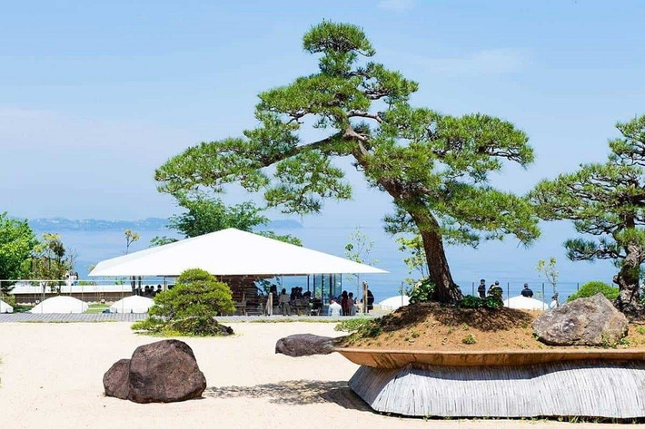 Nằm trong Vườn thảo mộc và hoa hồng Akao ở Atami (Nhật Bản) cây thông đỏ không chỉ là cây bonsai lâu đời nhất mà còn được cho là cây bonsai lớn nhất thế giới. Ảnh: Bonsai2u