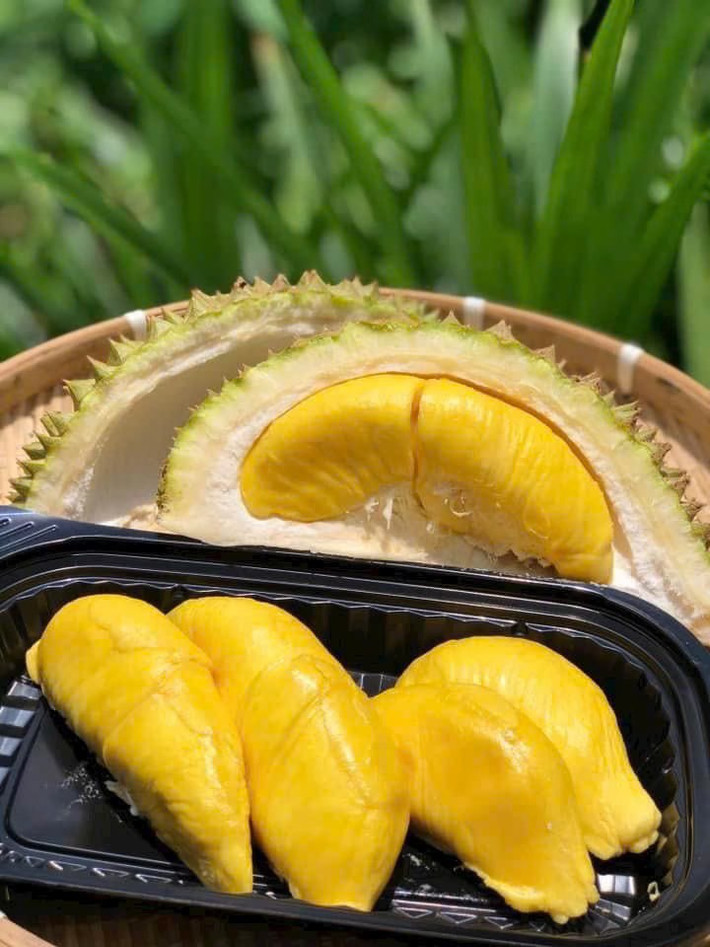 Cuối năm 2023, sầu riêng Musang King gây xôn xao khi được bán với giá cao ngất ngưởng 185.000 RM (gần 1 tỷ đồng) tại một sự kiện gây quỹ ở quận Raub, Pahang (Malaysia). Ảnh: Facebook