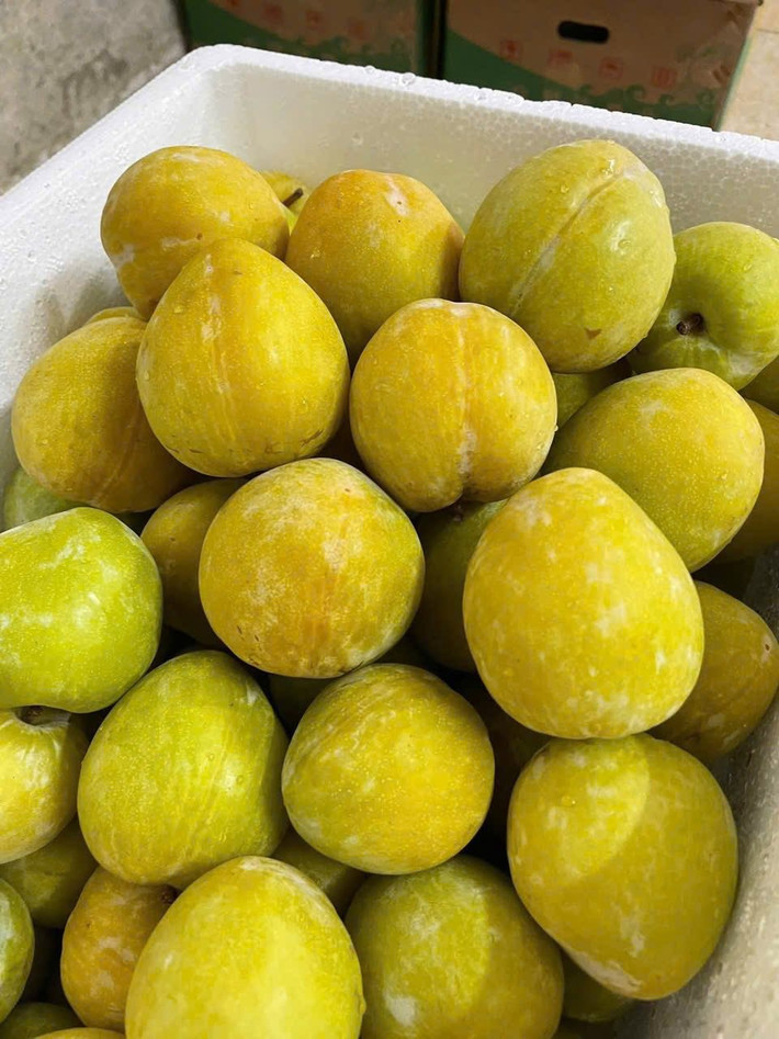 Khoảng đầu tháng 7, mận cau Trung Quốc (hay còn gọi mận vàng hoàng đế) đổ bộ chợ Việt với giá đắt đỏ, lên tới 450.000 đồng/kg, có nơi rao bán 500.000 đồng/kg, gây sốt thị trường. Ảnh: Facebook